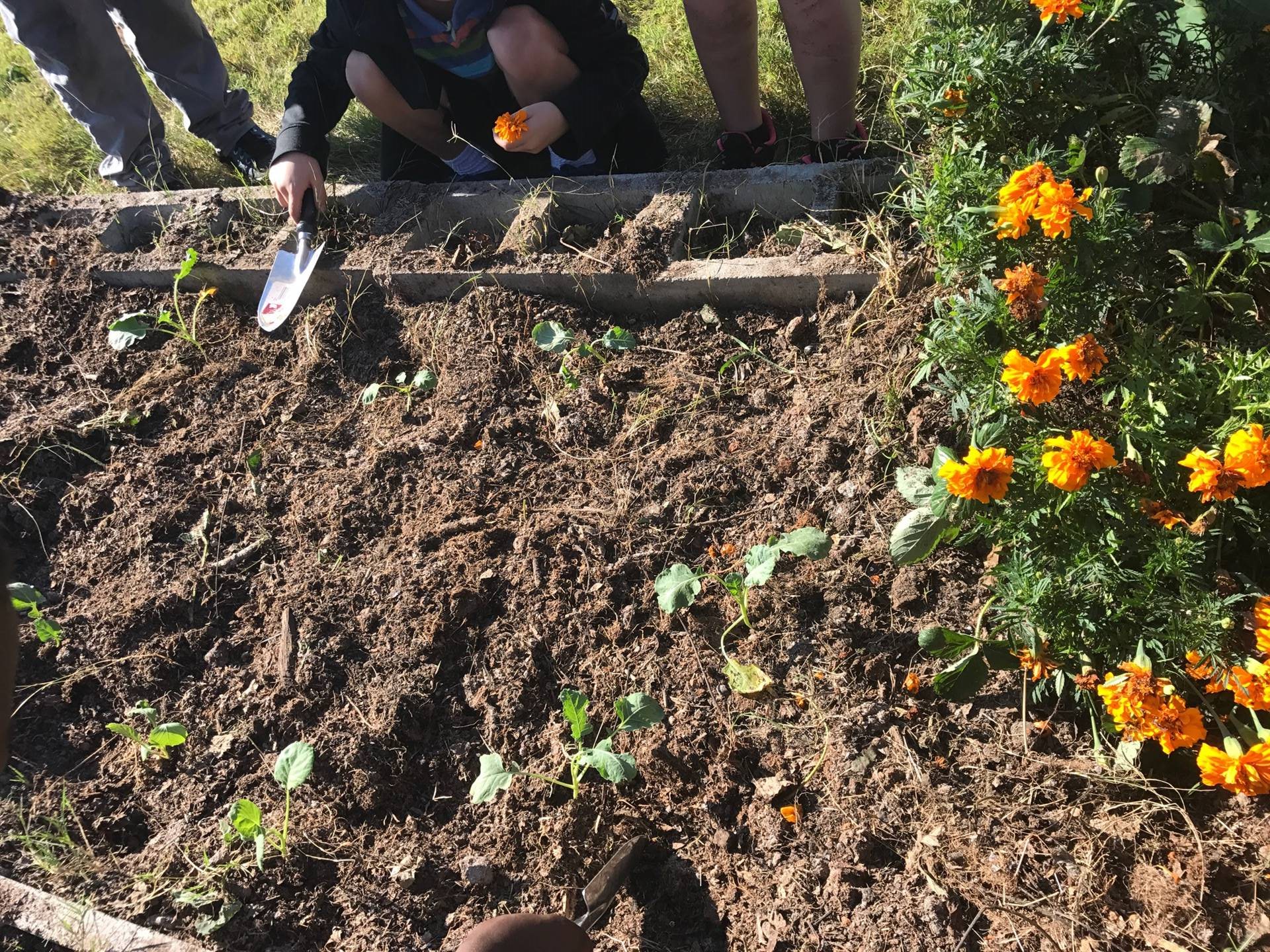 LEAP Garden Program