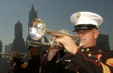marine trumpet