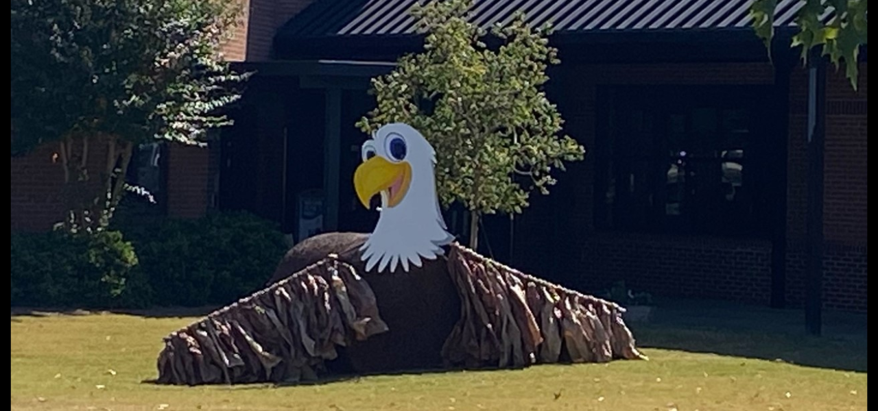Fall Festival Eagle