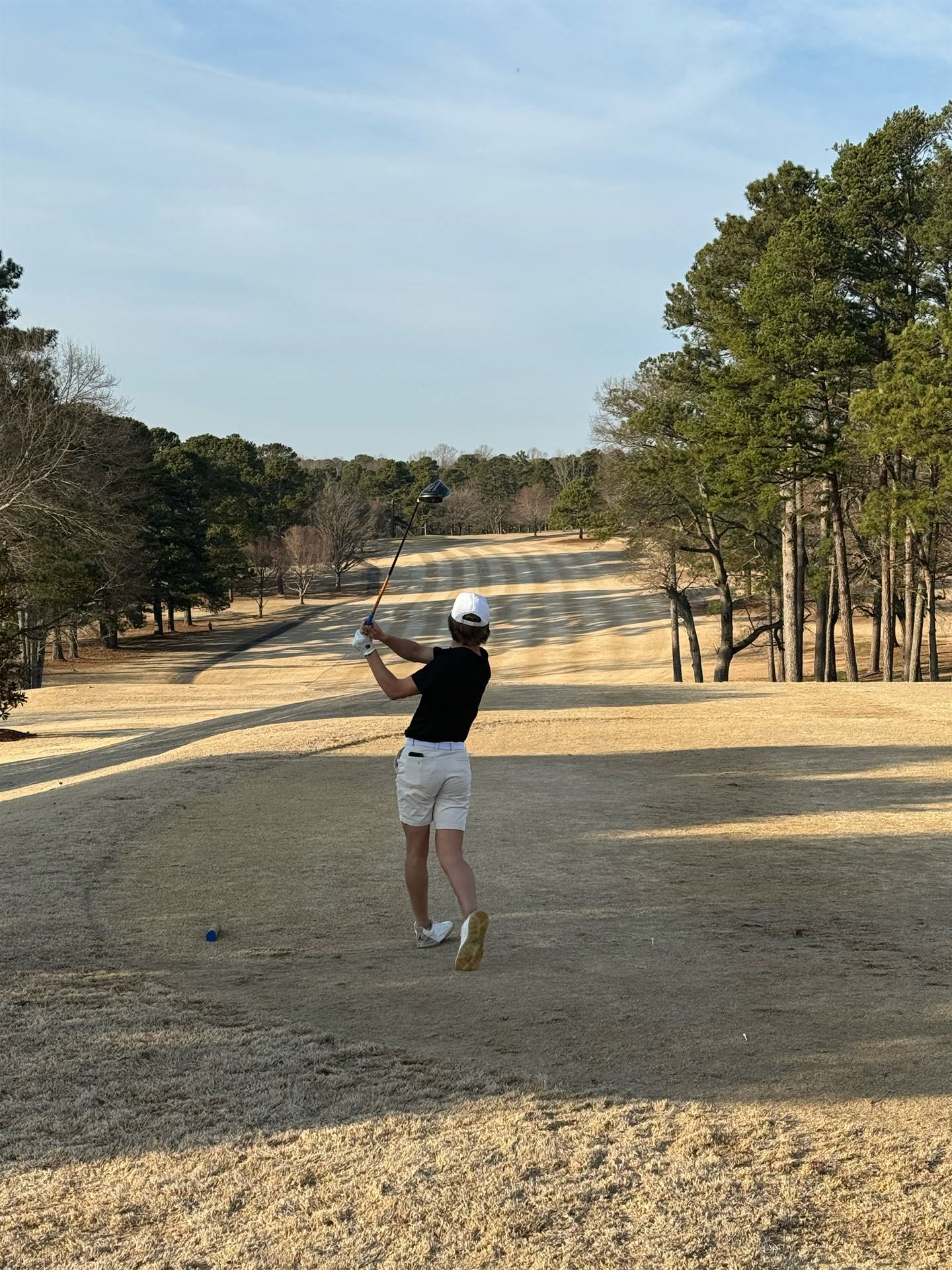 Dobie with a long drive